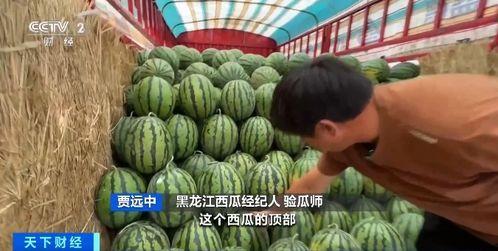 曲靖吃瓜,吃瓜群众眼中的特色小吃探秘  第2张